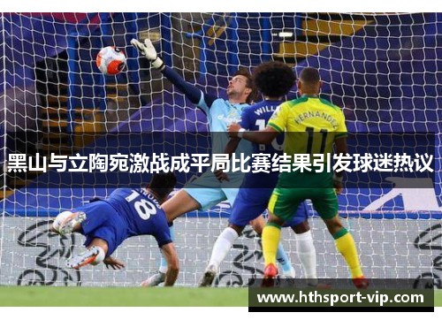黑山与立陶宛激战成平局比赛结果引发球迷热议